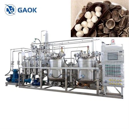 Macchina per l'estrazione dell'olio di semi di Moringa